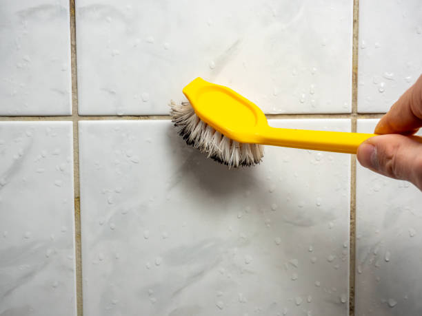Reliable Morenci, MI Mold Remediation Solutions